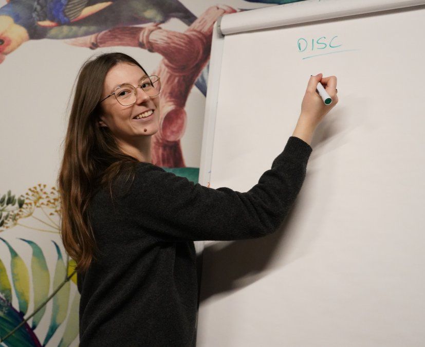 Formation adultes professionnels